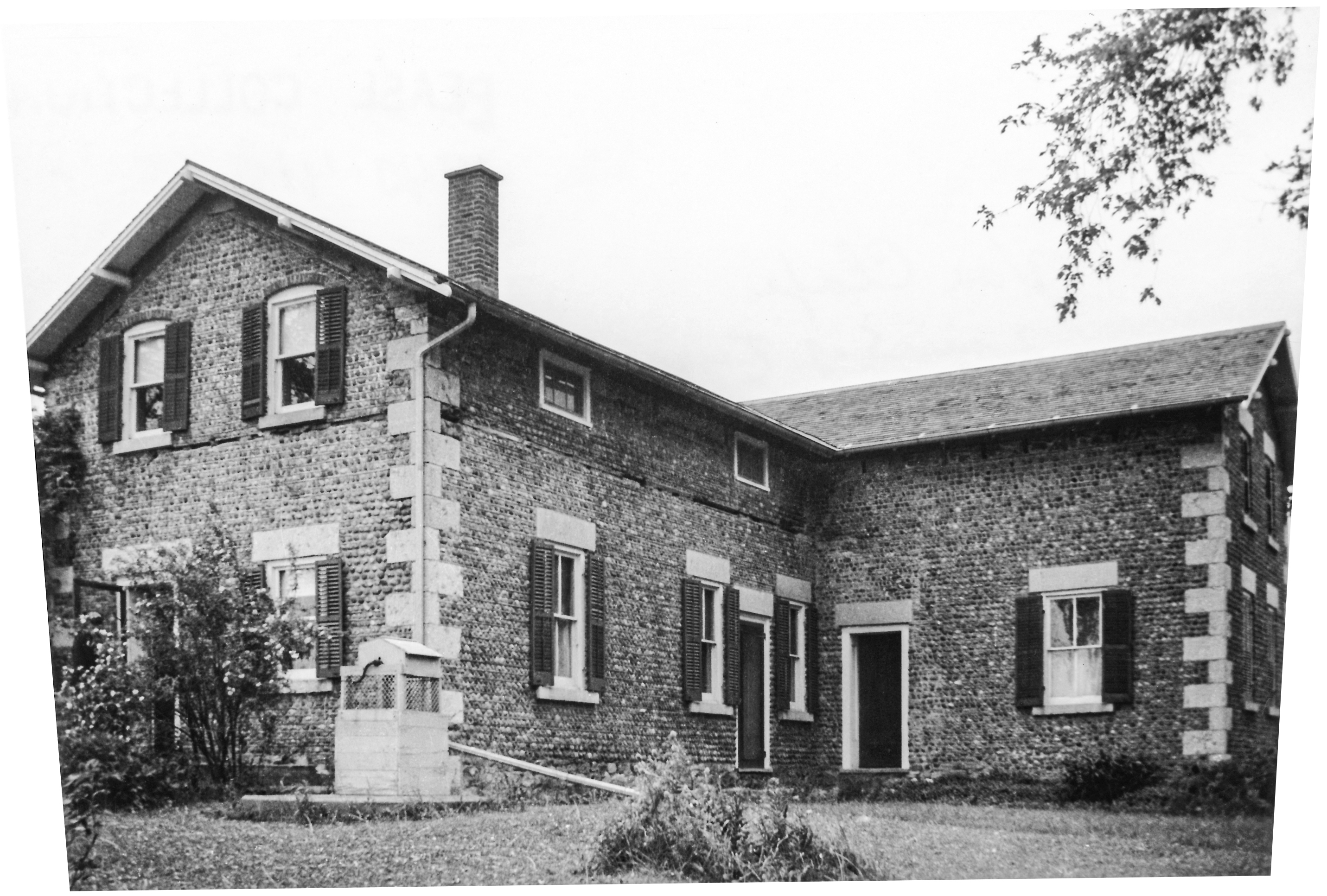 Tyr-2 Adler Sen-11 2